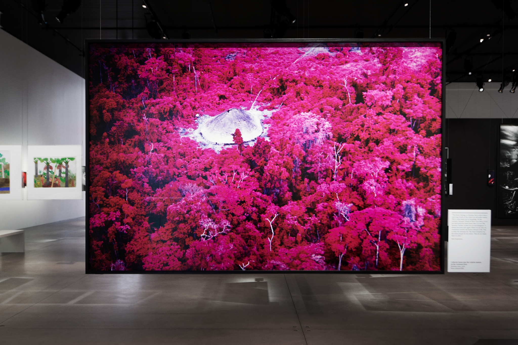 A photo suspended from the ceiling in an art gallery with other works in the background. The photo shows a forest from above with a clearing for a round communal house built by it Yanomami inhabitants, called a yano. The trees are an electric magenta color.
