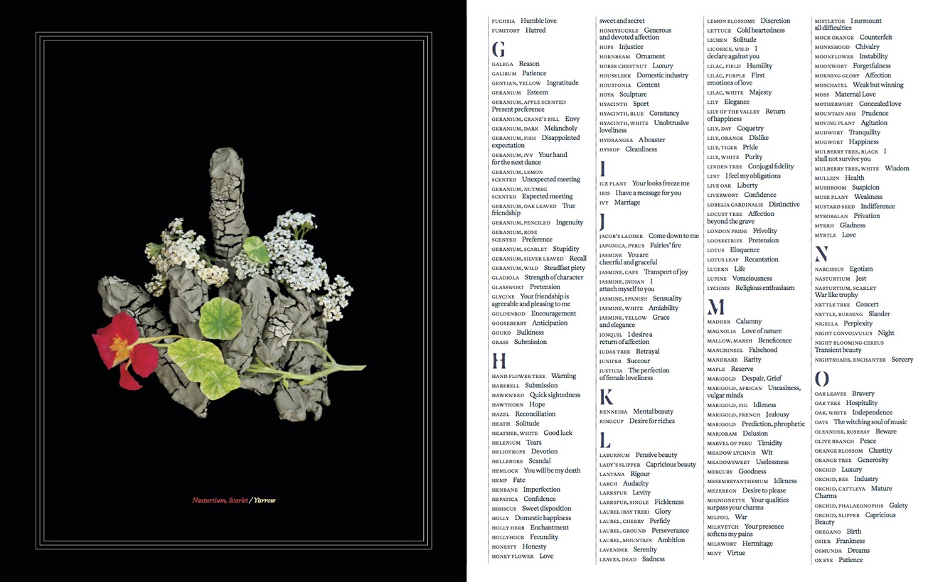 Karen Azoulay Flowers And Their Meanings A Guide For Deciphering Printed Matter