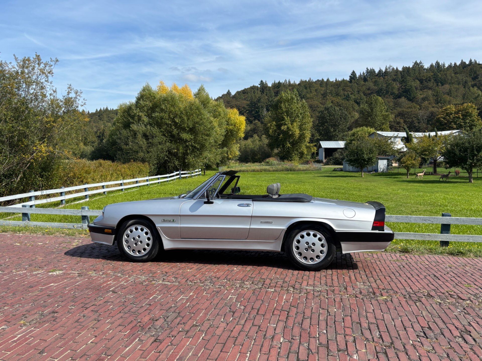 1990 Alfa Romeo Spider - Photo 8