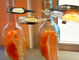 Sandwich In A Bottle (Postcard)