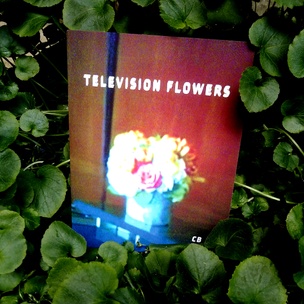 Television Flowers