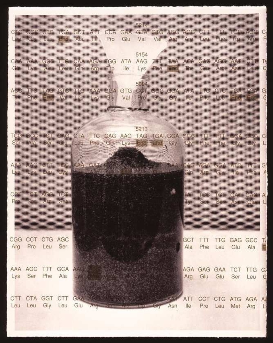 Catherine Wagner_re_Search Drosphilia Morgue with DNA.jpg