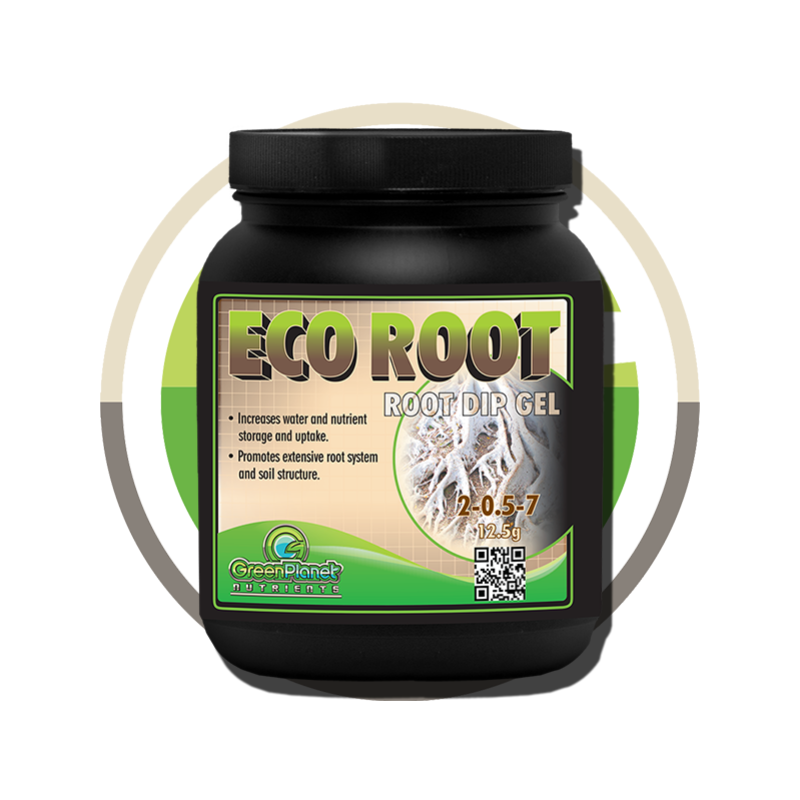 Photo of Eco Root