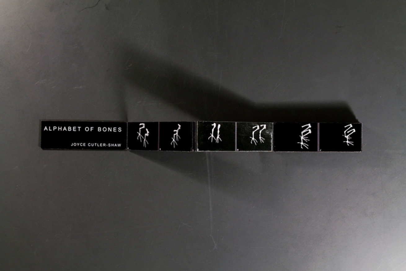 Miniature Alphabet of Bones thumbnail 3