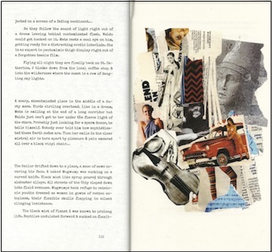 Flesh Film thumbnail 2