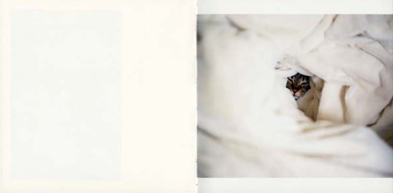 Nekopathy thumbnail 4