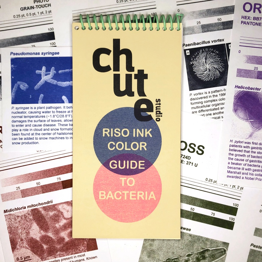 The Chute Riso Ink Color Guide to Bacteria thumbnail 1