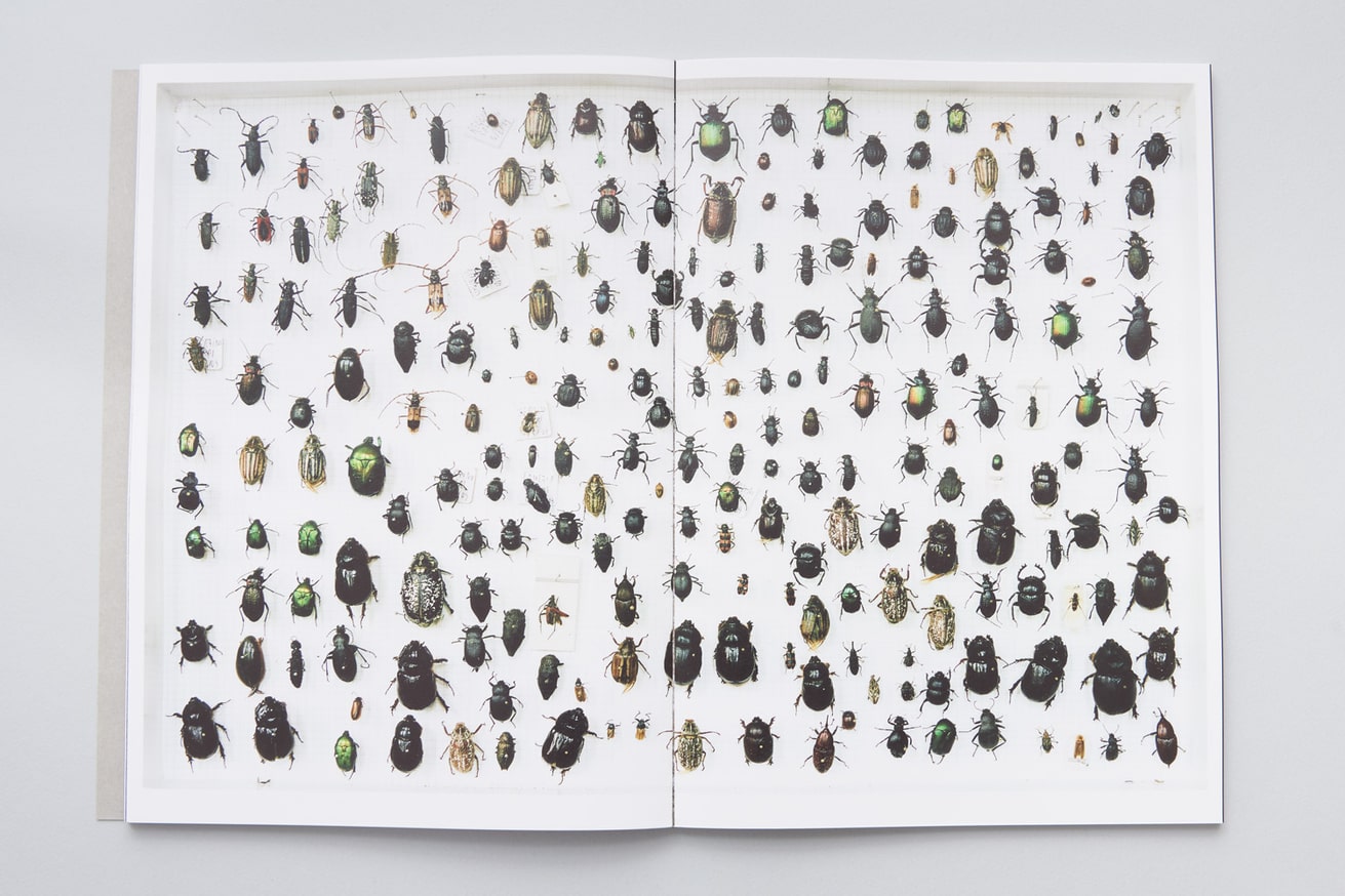 In Quarta Persona thumbnail 5