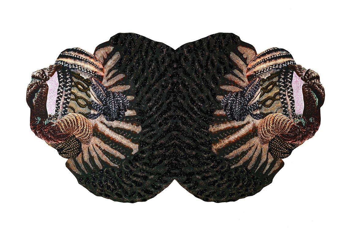 A symmetrical, abstract shape comprised of various images of braided and woven Black and Brown hair with black glitter dusted across the center.
