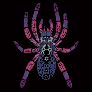 Kangaroo Ground / Ferntree Gully