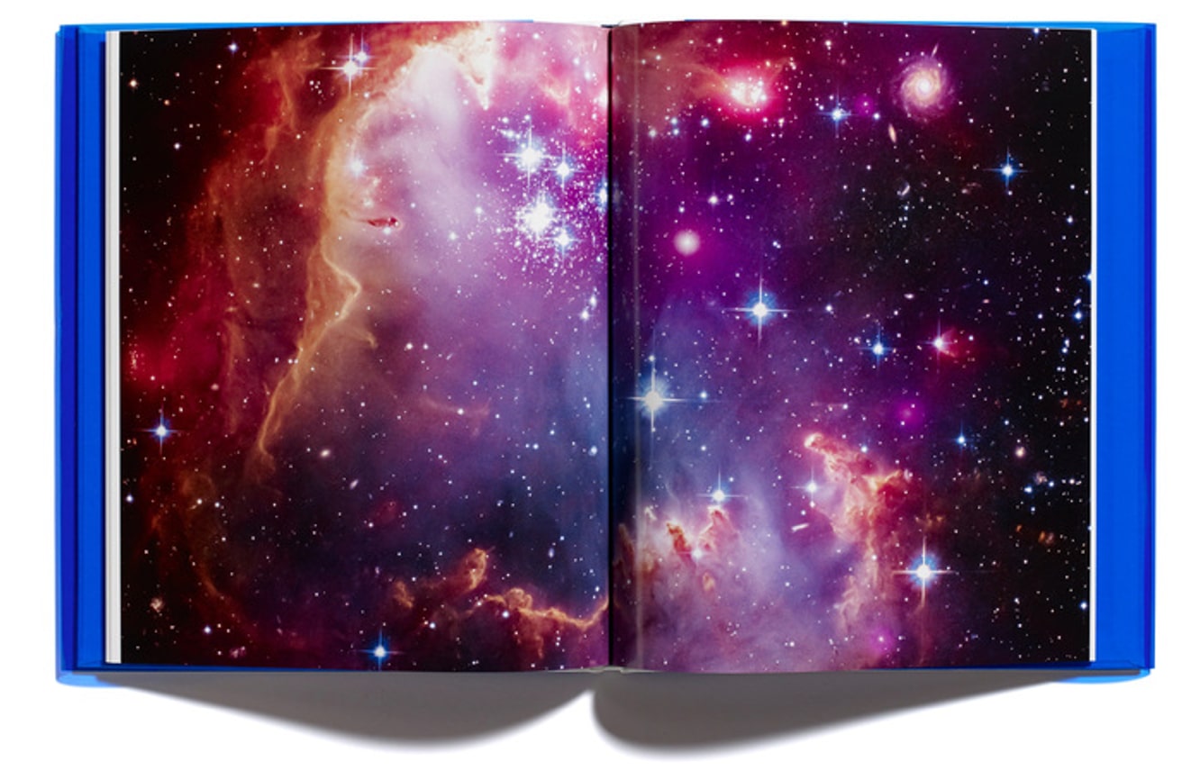 Religious Symbols / London Garden Birds / Numbers / Sexual Predators / Political Symbols  thumbnail 3