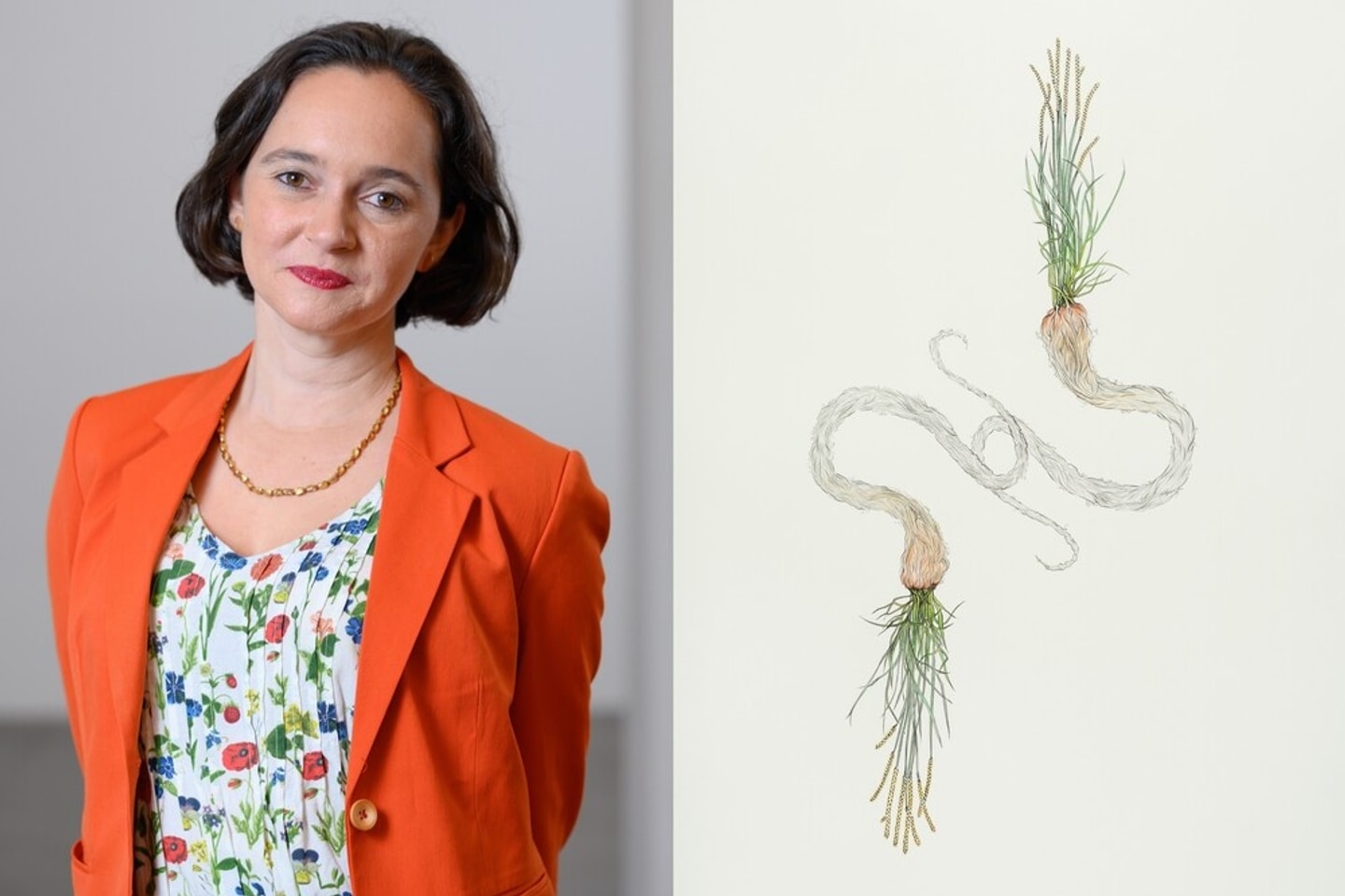 Headshot of Susanna V. Temkin alongside beside a botanical drawing depicting two grass roots connected by a long, looping root system.