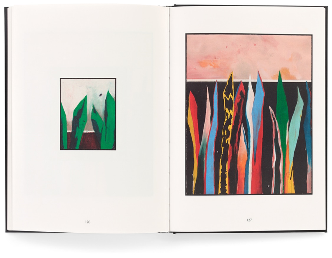 Harold Ancart: Soft Places (II) thumbnail 3