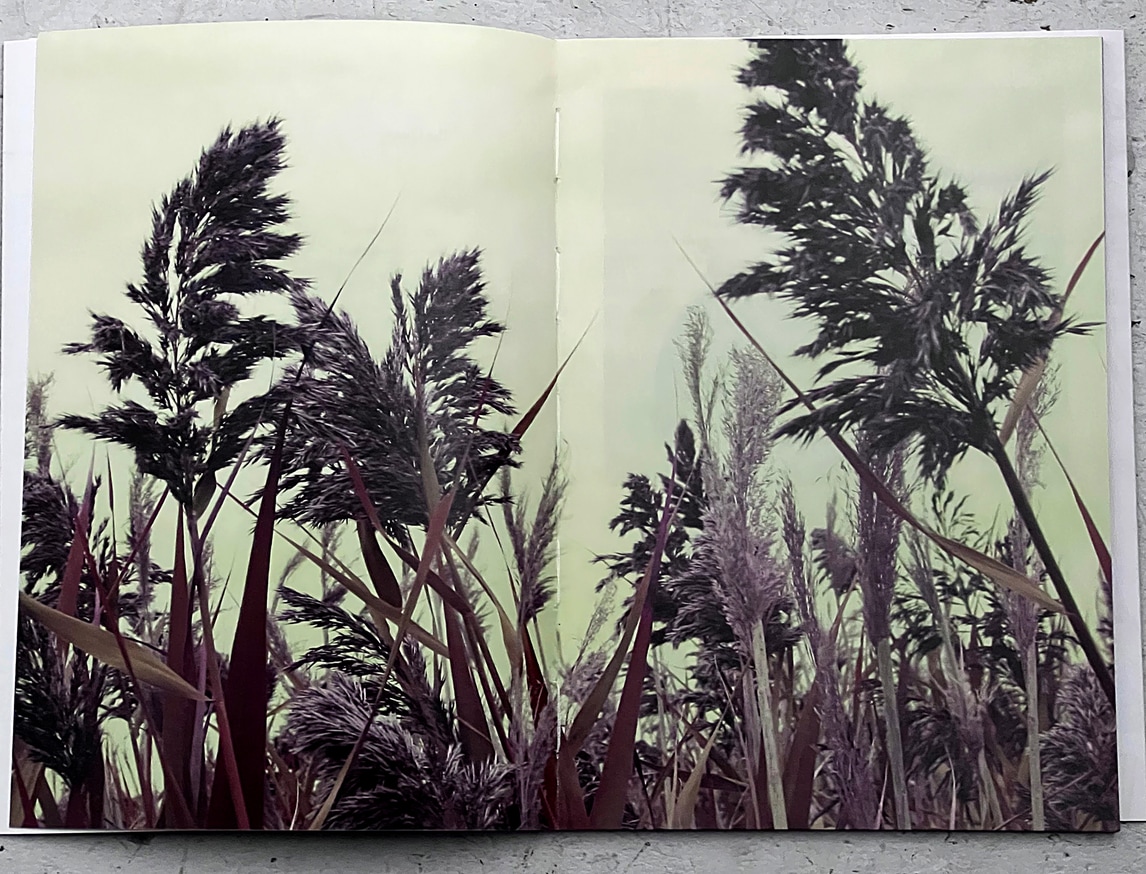 Adam Dickinson The Quarry Printed Matter