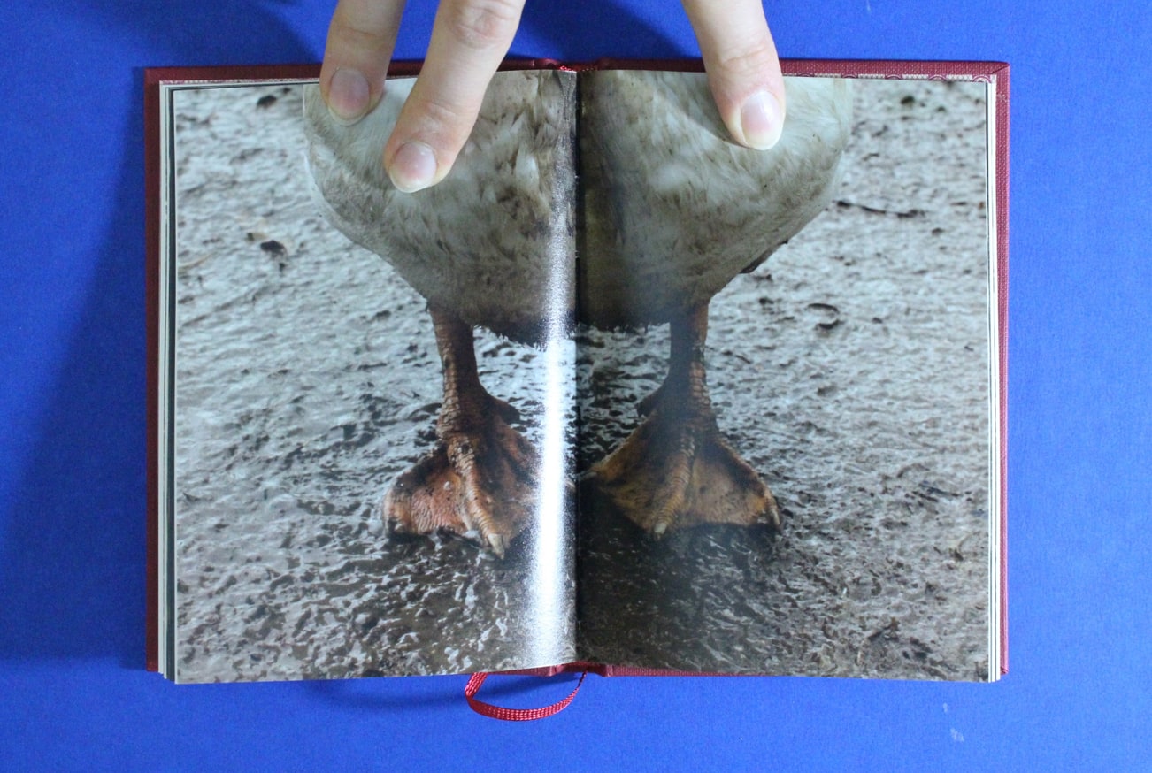 La Decencia thumbnail 3