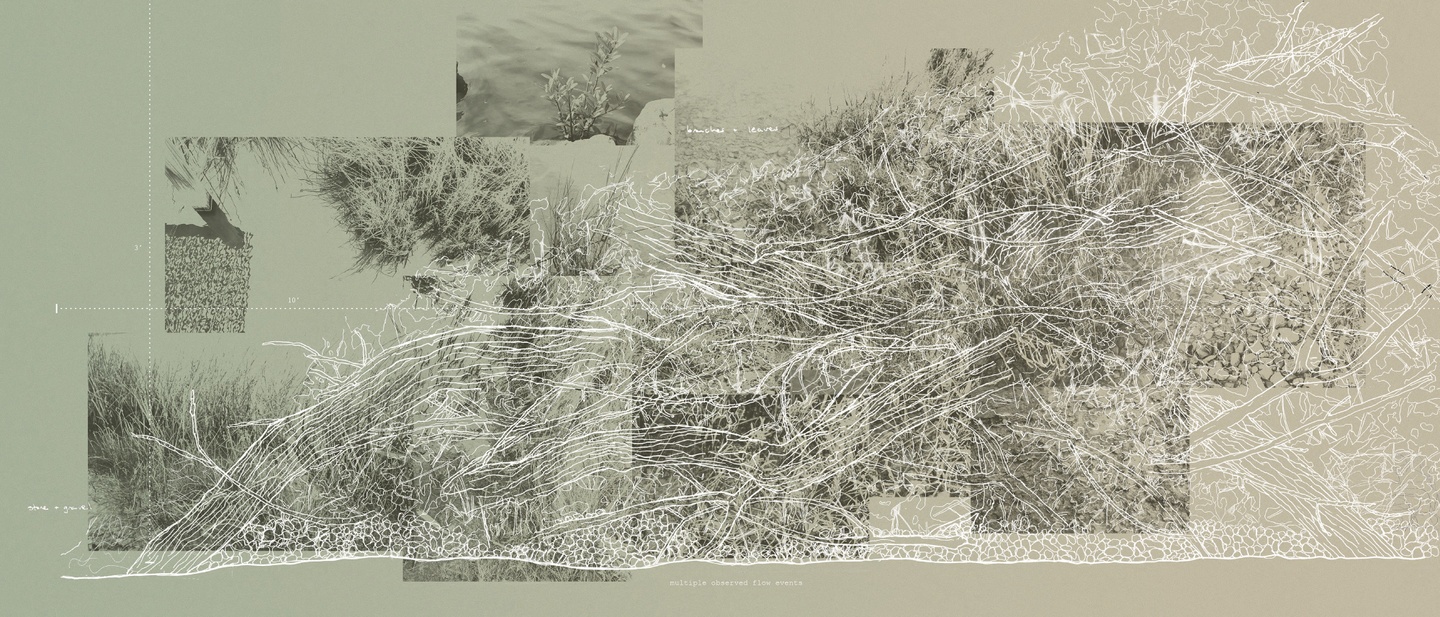 A collage with images and a drawing of flow patterns overlayed in white on a muted green fill