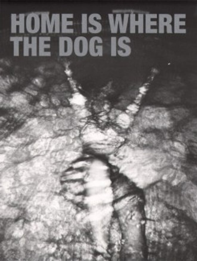 Home is Where the Dog Is