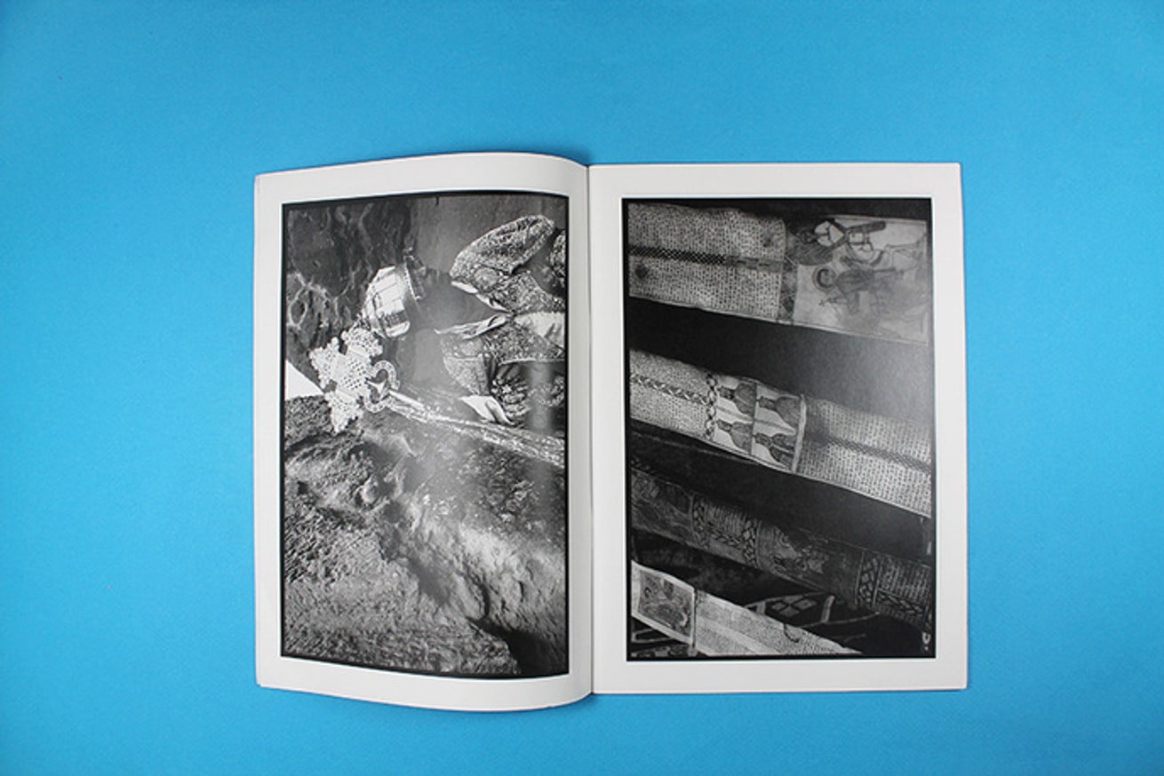 Abyssinian thumbnail 5