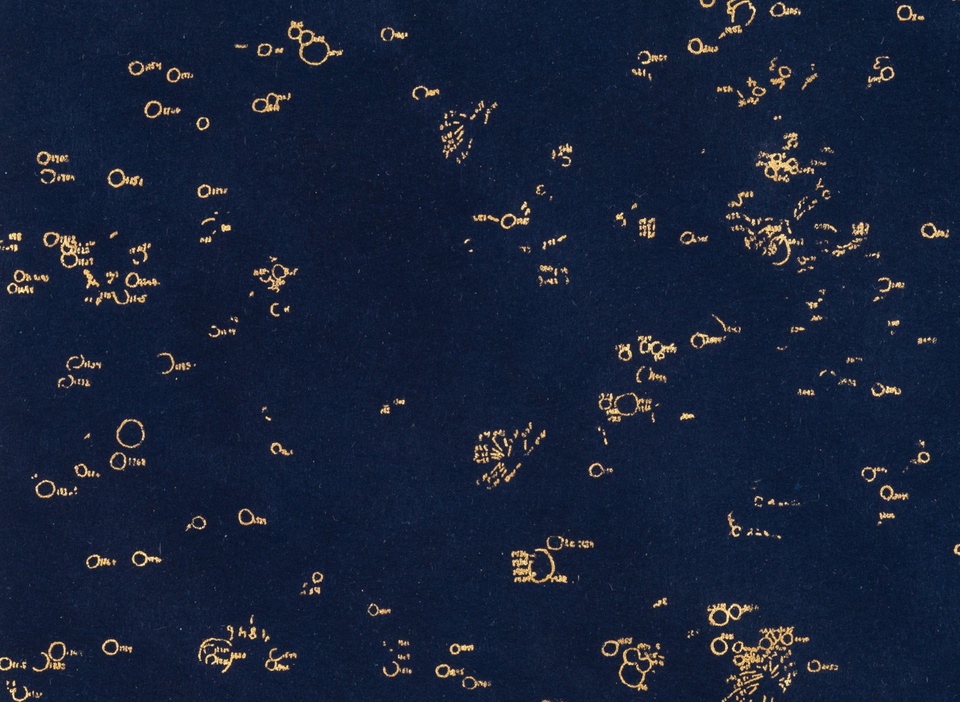 Print with dark blue background and lots of small markings in gold.