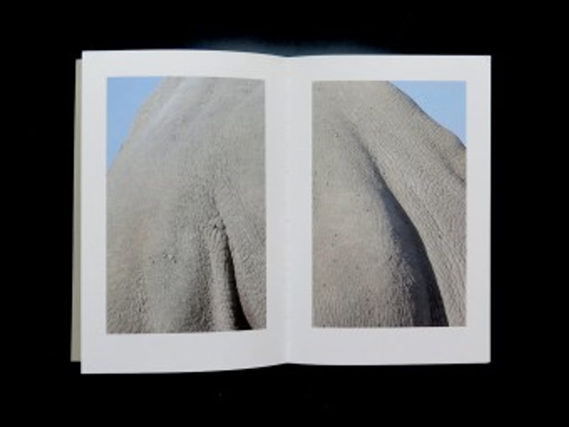 Walk Like an Egyptian thumbnail 3