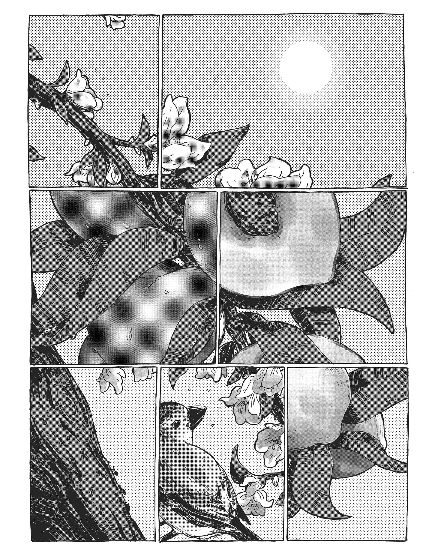 Single panel black and white comic showing a fragmented view of a branch on a peach tree with blossoms, fruit, and a bird.
