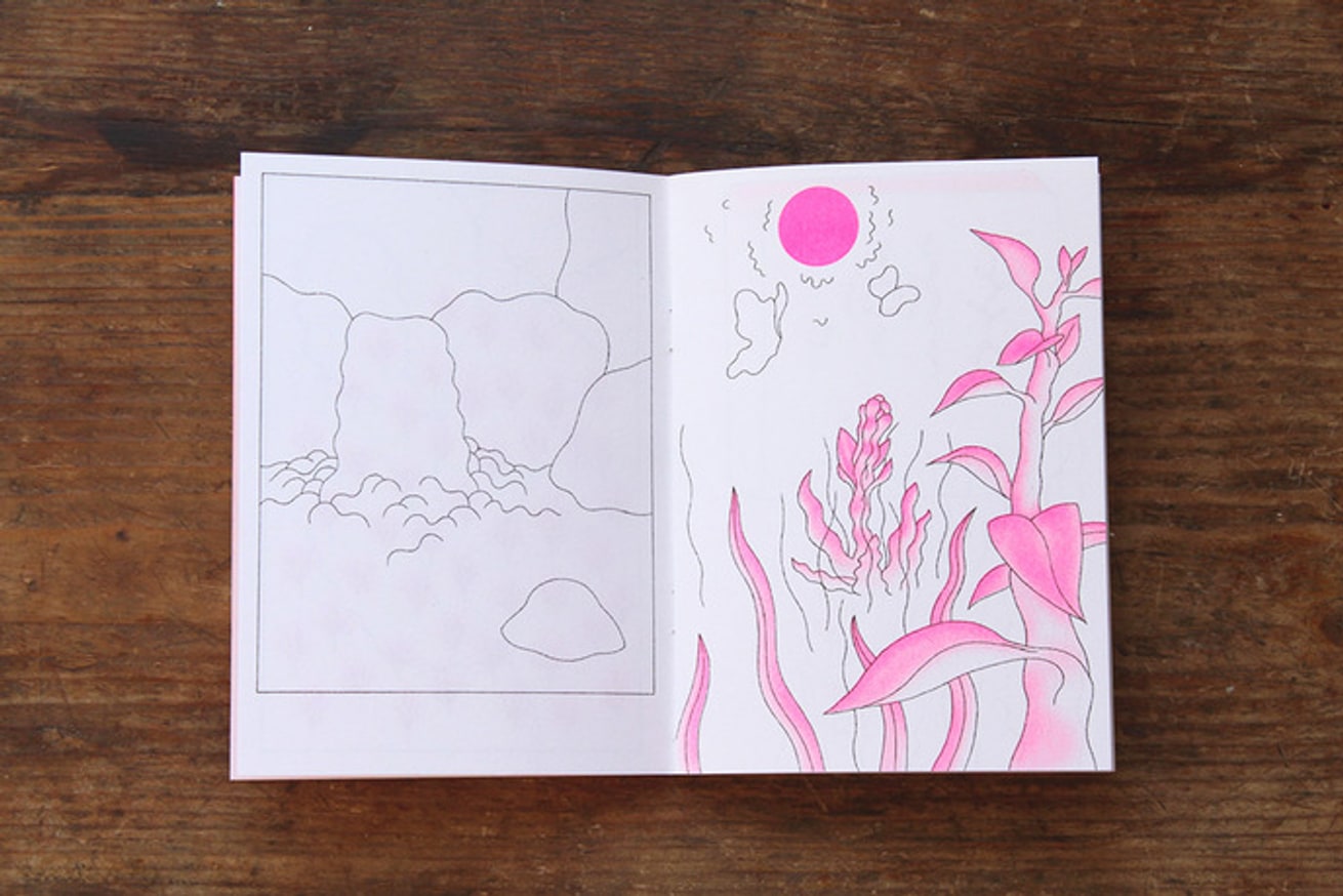 Papillon Blanc thumbnail 6