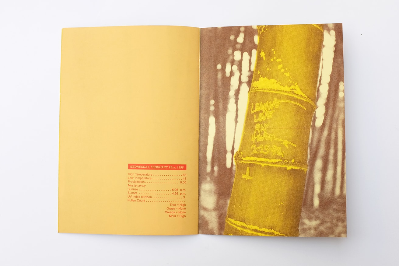 WRITTEN NAMES #3: Names and Dates Carved into Bamboo, San Marino, California thumbnail 4