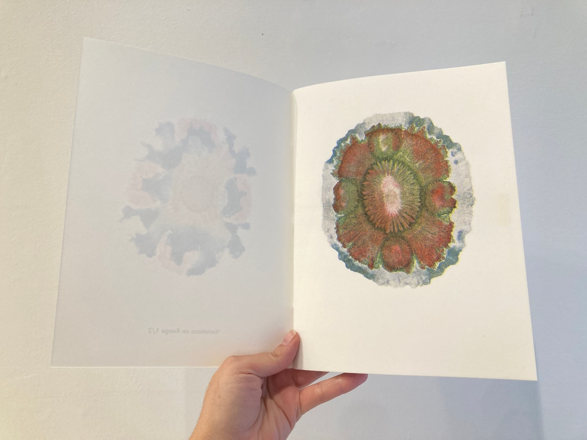 Variations on Runge thumbnail 3