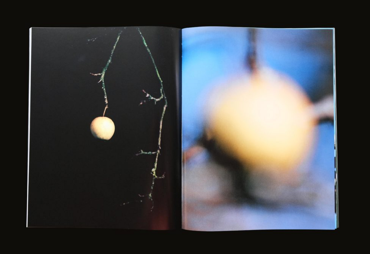 Only Apples thumbnail 3