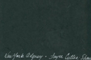 New York Odyssey: Sites and Terrain