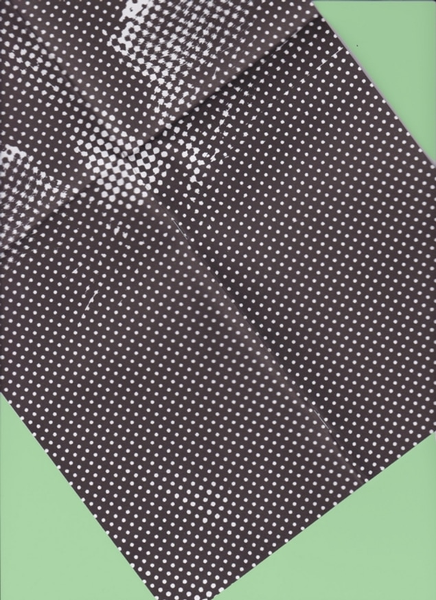 An All Black Cat Stands Out Beautifully In a Field of Colors thumbnail 2