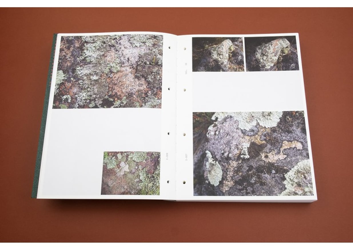 Sibylle Eimermacher: A Guide Through Hue thumbnail 3