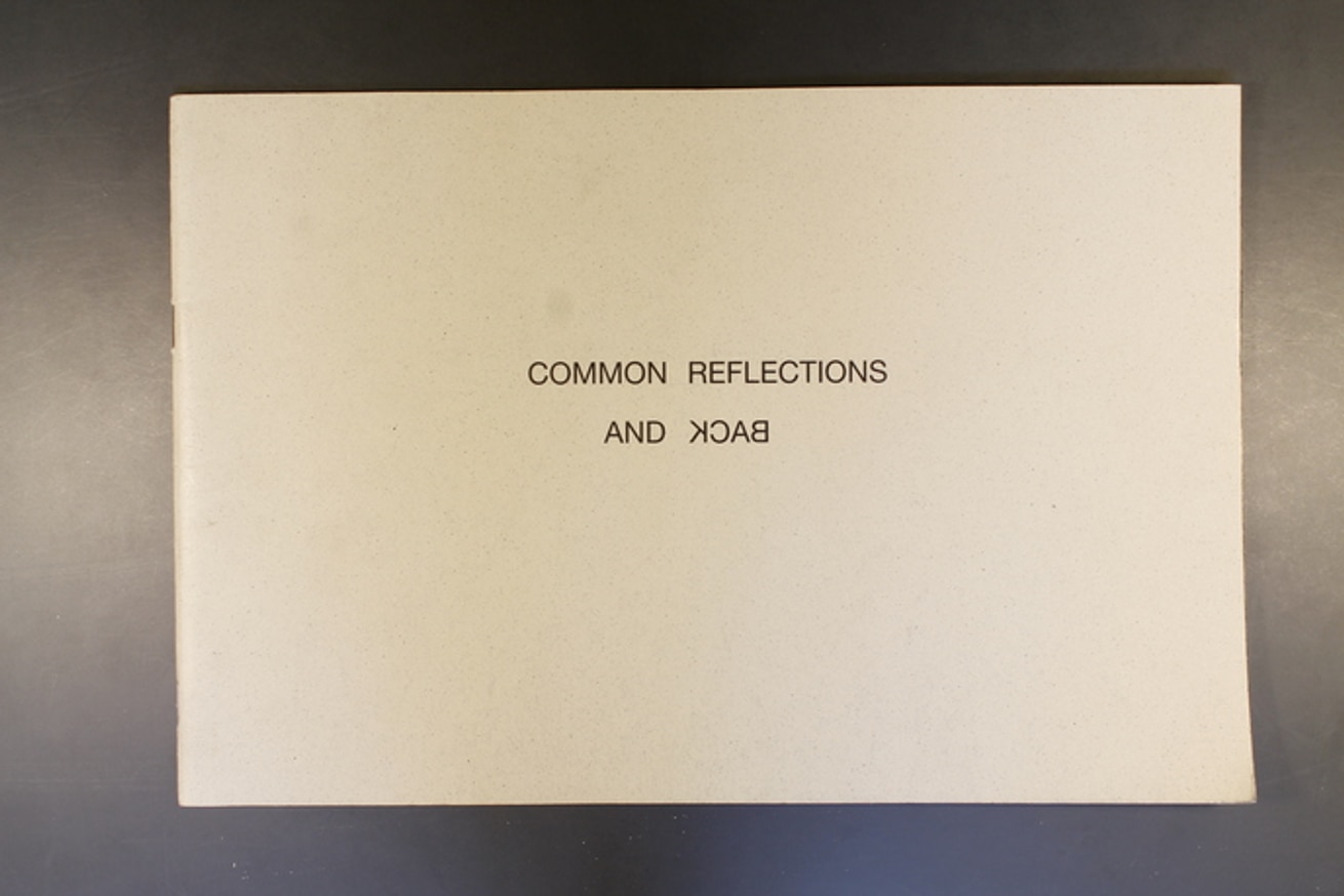 Common Reflections and Back thumbnail 2