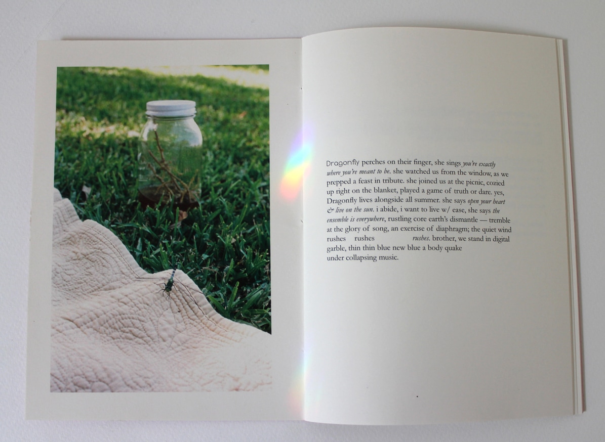 Flotsam Suite: a strange & precarious life, or how we chronicled the little disasters & i won't leave the dance floor til it's out of my system thumbnail 2