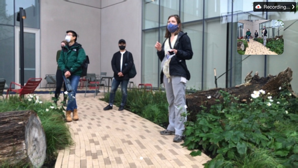 A group of people stand in a garden on a path, as captured on a video call screenshot.