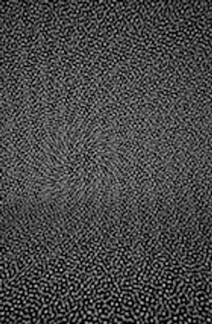 Untitled (Patterned Standards #3), 2012