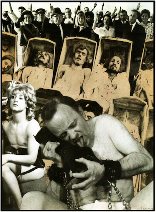 Collagen thumbnail 4