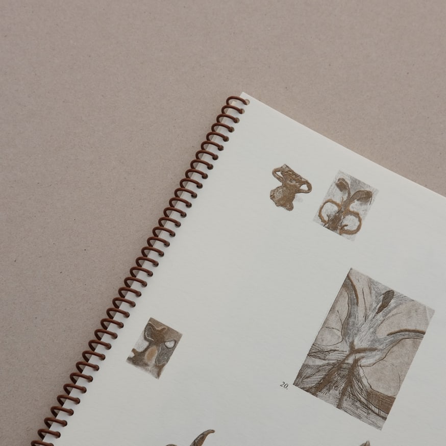 Touchstone thumbnail 7