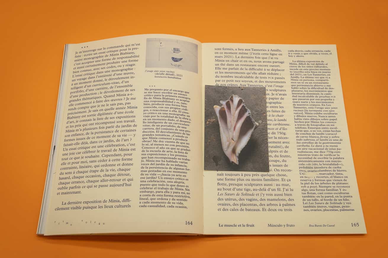 ritmo volcán thumbnail 5