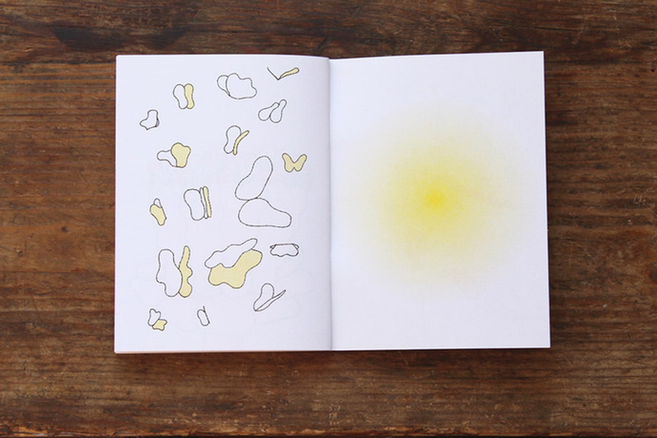 Papillon Blanc thumbnail 9