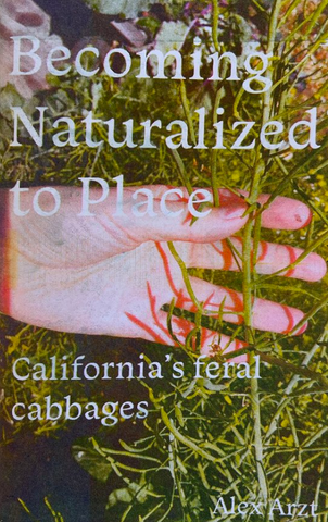 Becoming Naturalized to Place: California's Feral Cabbages