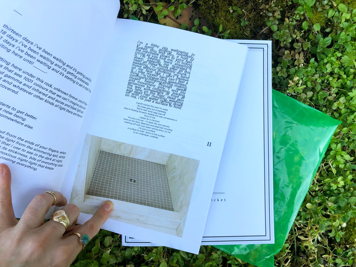 Entangled Thicket/The Pond thumbnail 4