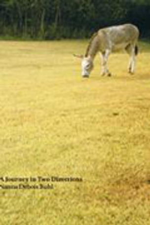 A Journey in Two Directions