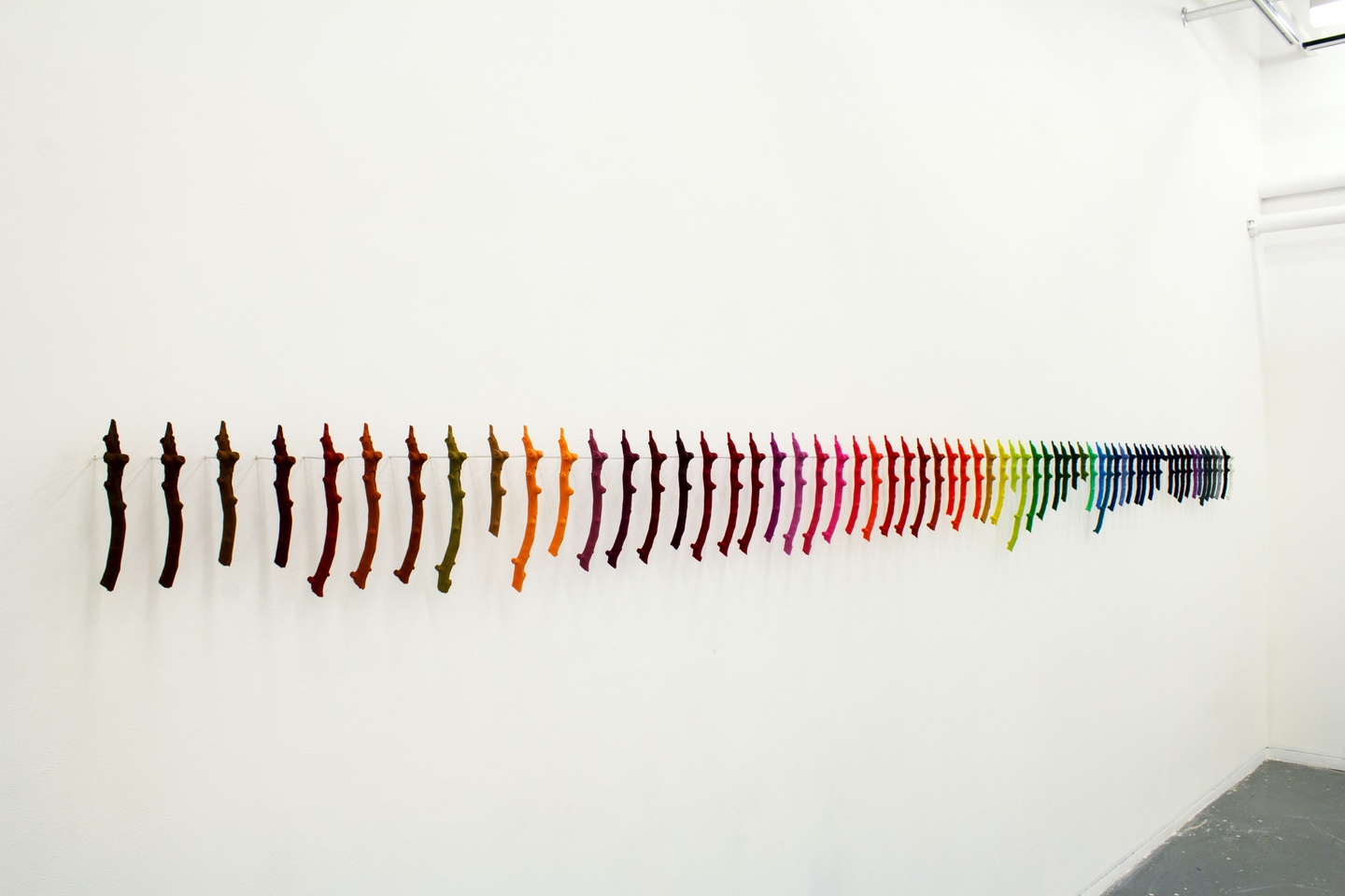 colorful branch pieces all in a neat row on a wall