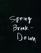 Spring Breakdown
