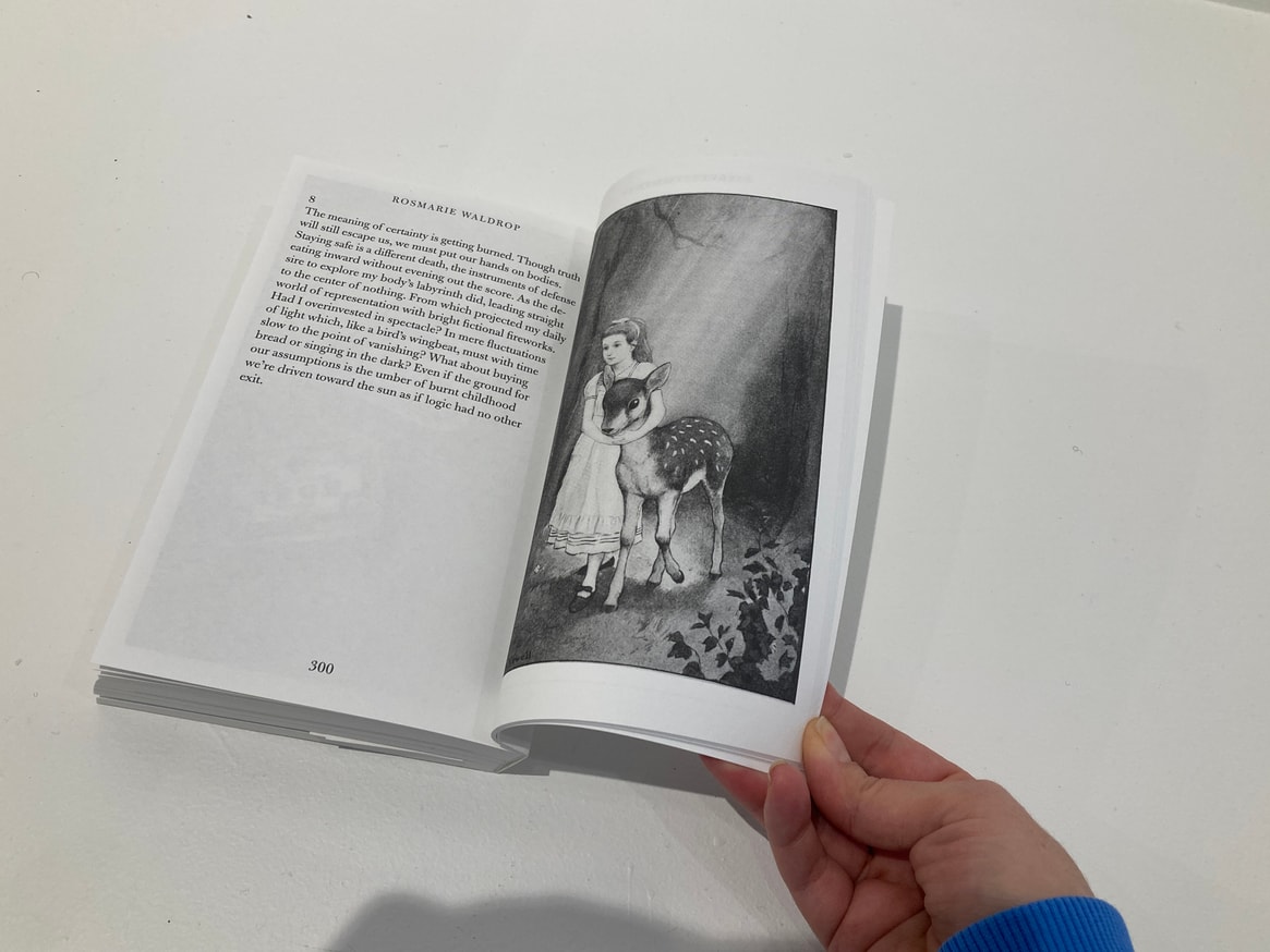 F.R. David (Autumn 2020): Correctional Facility thumbnail 7