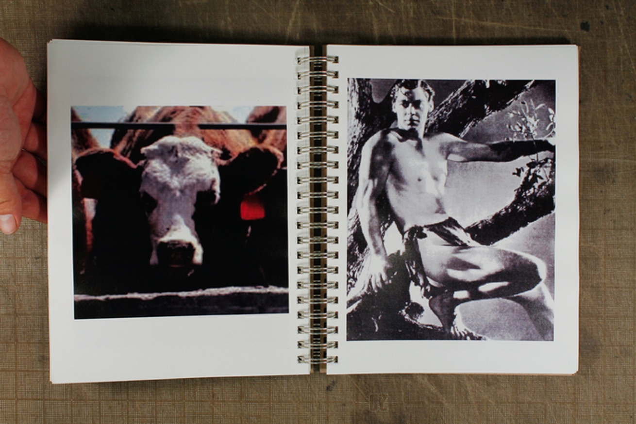 Go Vegan! thumbnail 3