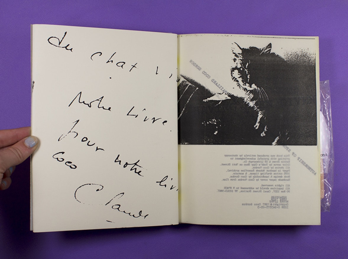 Sebastien Live Cat Chat Vive thumbnail 3