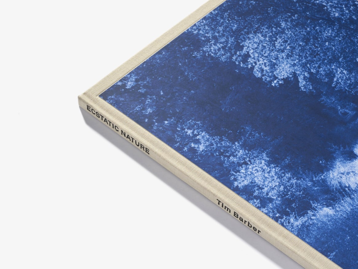 Ecstatic Nature thumbnail 2