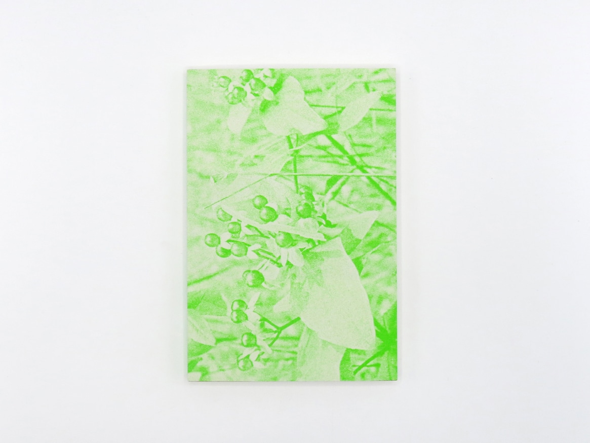 What are you looking for?